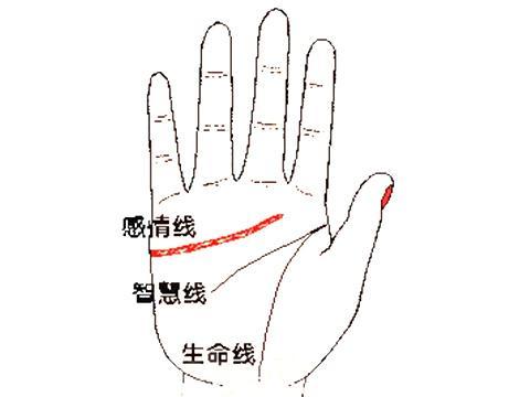 关于超越想象的魔力未来：魔力SF的神秘魅力的信息